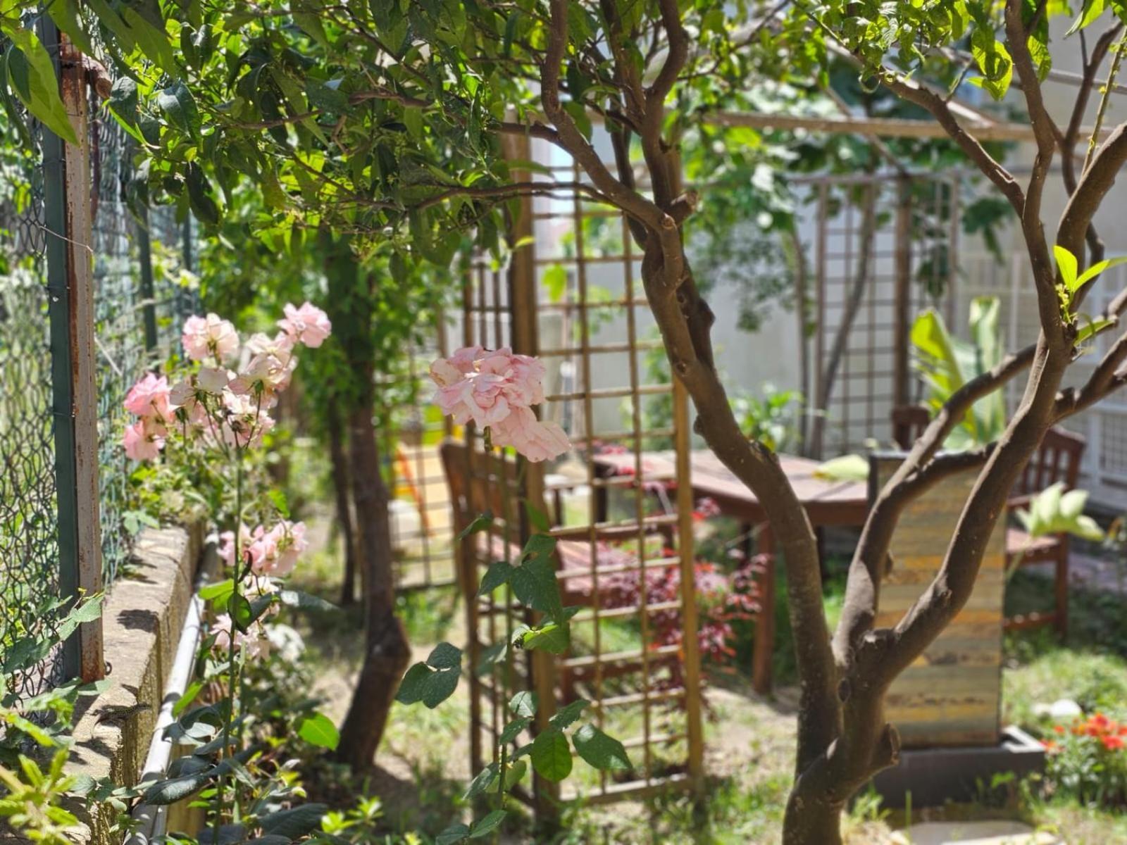 Prestige Casa Vacanze Catanzaro Dış mekan fotoğraf